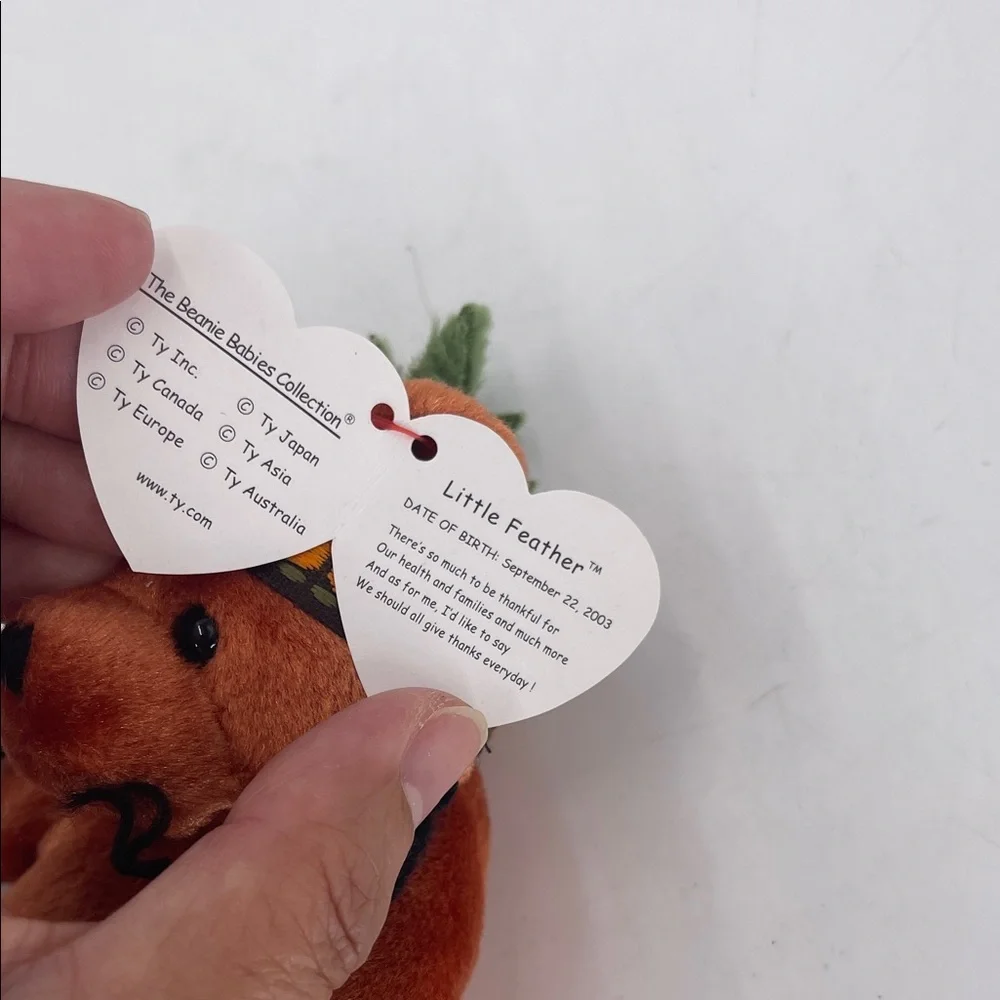Ty Beanie Babies Collection